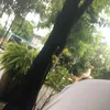 ty.ninh.qu.ti00