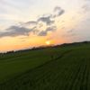adam.from.kulon