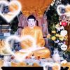 thae.kyaw.lay55