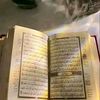 nehad.sharoda