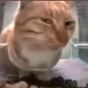 uselessbot