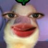 pingknlestry