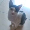 cherli2891