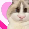 _whosjamm
