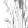 sswwert2