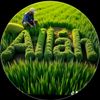 a.n_08_88