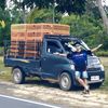 toyoo010327_