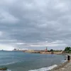 leoalgodon3