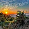 andreatzoy56