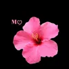 mayssa4642