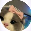 juka_76