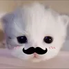 ka.ka.ka05