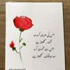 siyab.raja7