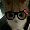 adriellyzx2