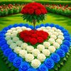 birindar.ram