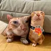 lyycaess