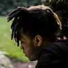 xxxtentacion8338