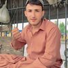hamid.jan827