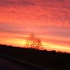 sofi_blek28