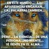 juanroman470