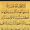 user4858608839279