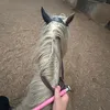 horsesandchloe..9