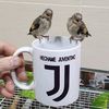 hichem.juventino