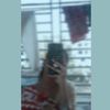 picchi_nur_440
