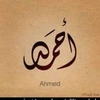 ahmed.alhassn89