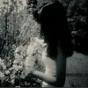 hno.lin