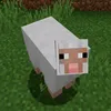 EnderCraft