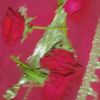 user200904021