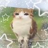 𝓖ina ♡ ℳeowl ୨୧🥛