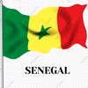 amazone.senegal.com