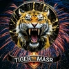 tigermaser_22