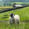 storiesfromengland