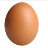 egg473639