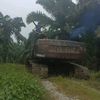 bambang.sutarto66
