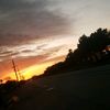 hungry_hippons79