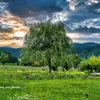 rene_und_familie