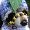 essa.lily