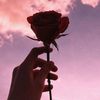 rose.patel_834