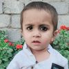mulazim.hussain043