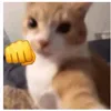 dkwiksk_