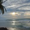 aurell_436