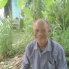 hoangtran0622