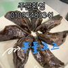 yili0088