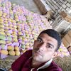 user5326676175798