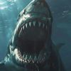 shark.957