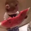 truongtansangg_caa